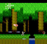 Ghosts 'N Goblins for NES / Famicom - More ghosts and some deadly plants appear!