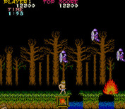 Ghosts 'N Goblins for Arcade - Flying ghosts appear...