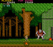 Ghosts 'N Goblins for Arcade - An end of level boss!