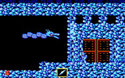 Ghosts 'N Goblins for IBM PC/Compatibles - A dragon guards this door to the next level.