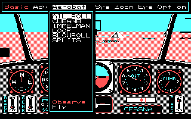 Chuck Yeager's Advanced Flight Simulator IBM PC/Compatibles Screenshot: Here's the stunt menu.