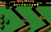 Up 'n Down for IBM PC/Compatibles - Searching for flags.