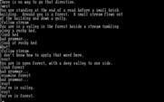 Colossal Cave Adventure for IBM PC/Compatibles - I'm in a forest; what should you do next?
