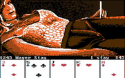 Strip Poker: A Sizzling Game of Chance for IBM PC/Compatibles - Nobody bet this time...