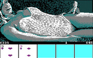 Strip Poker: A Sizzling Game of Chance for IBM PC/Compatibles - Select which cards you wish to discard.
