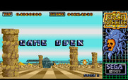 Space Harrier for IBM PC/Compatibles - Game over.