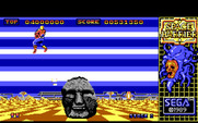 Space Harrier for IBM PC/Compatibles - Each level has different obstacles to avoid.