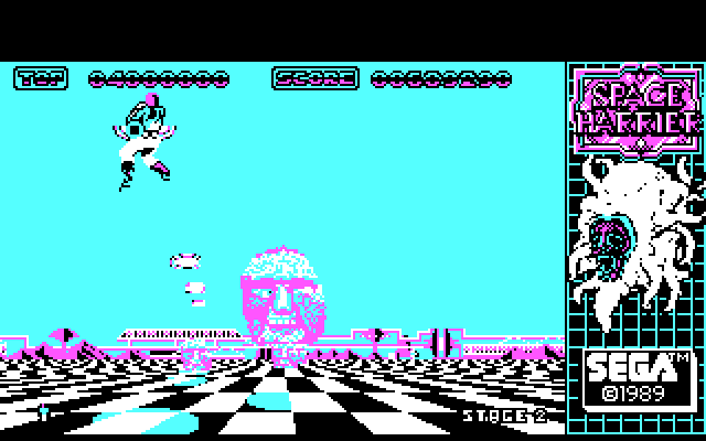 Space Harrier IBM PC/Compatibles Screenshot: Each level presents different challenges.