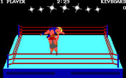 Bop'N Wrestle for IBM PC/Compatibles - This is not looking good for player 1...