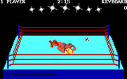 Bop'N Wrestle for IBM PC/Compatibles - Hurry, get up fast, if you can!