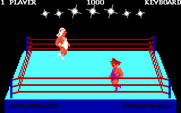 Bop'N Wrestle for IBM PC/Compatibles - A fight begins.