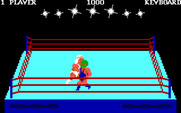 Bop'N Wrestle for IBM PC/Compatibles - There are a variety of different characters that fight in the game.