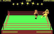Bop'N Wrestle for IBM PC/Compatibles - Utilizing the ropes...