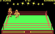 Bop'N Wrestle for IBM PC/Compatibles - A two player game begins.