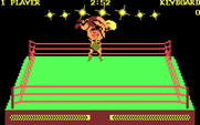 Bop'N Wrestle for IBM PC/Compatibles - The computer player is winning...