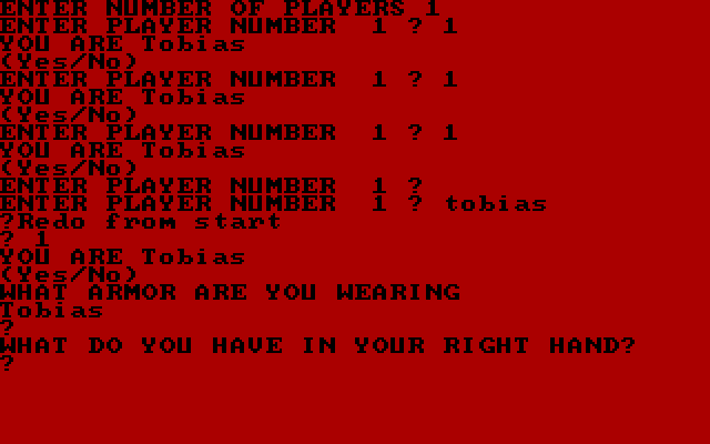 Dungeon Quest IBM PC/Compatibles Screenshot: Setting up the players for a new game.