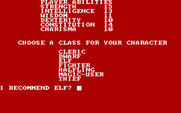Dungeon Quest for IBM PC/Compatibles - Creating a character.