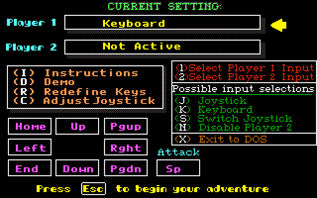 Renegade IBM PC/Compatibles Screenshot: Game settings menu.