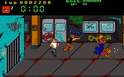 Renegade for IBM PC/Compatibles - Ran out of time.