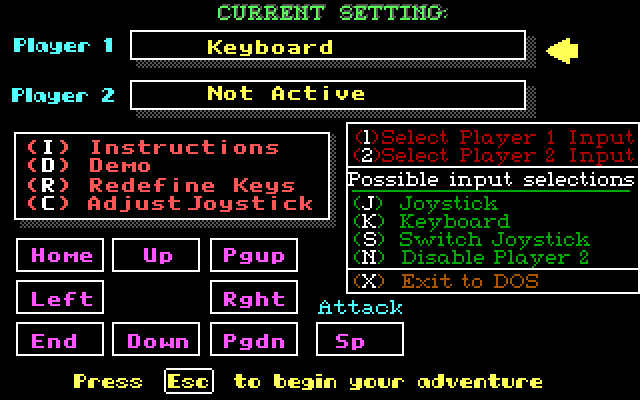 Renegade IBM PC/Compatibles Screenshot: Game options menu.
