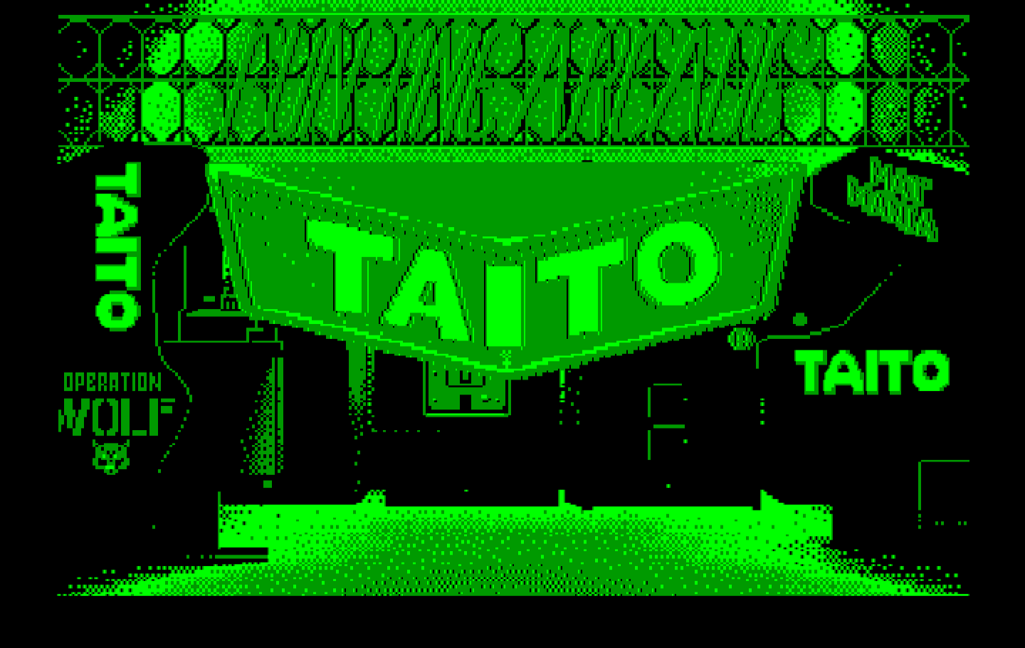 Renegade IBM PC/Compatibles Screenshot: Taito logo.