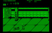 Renegade for IBM PC/Compatibles - I've been knocked down...