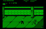 Renegade for IBM PC/Compatibles - Fighting near the edge of a platform.