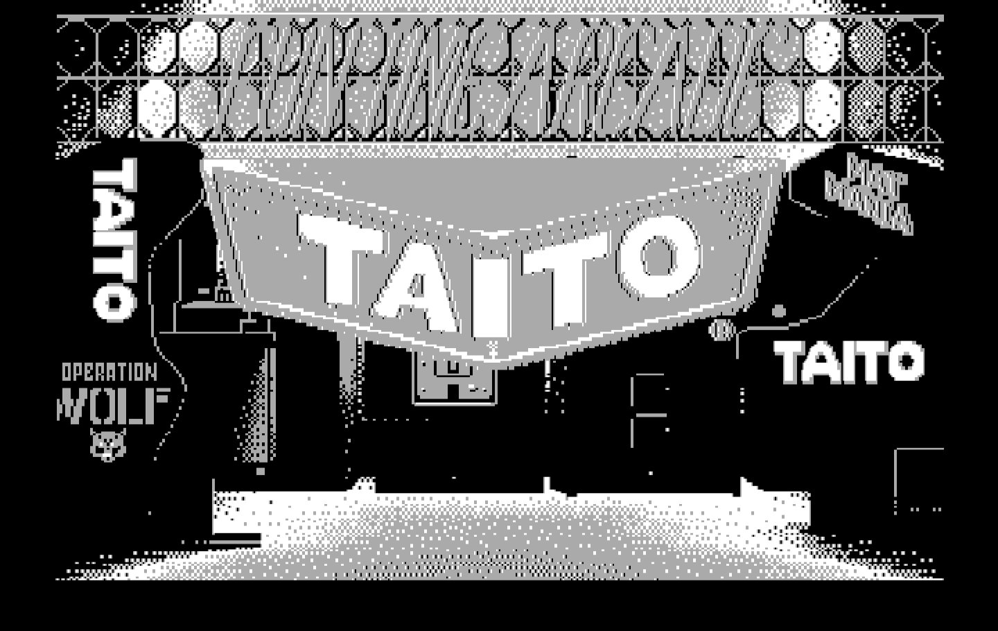 Renegade IBM PC/Compatibles Screenshot: Taito logo.