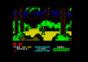 Platoon for Amstrad CPC - Lost in the forrest...