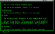 Earthly Delights for IBM PC/Compatibles - There was a burgler here?