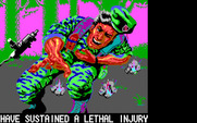 Operation Wolf for IBM PC/Compatibles - Game over.