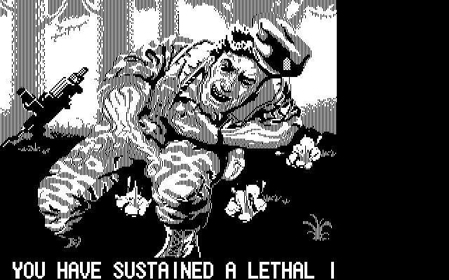 Operation Wolf IBM PC/Compatibles Screenshot: Game over.