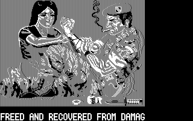 Operation Wolf IBM PC/Compatibles Screenshot: Recovered from damage!