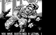 Operation Wolf for IBM PC/Compatibles - Game over.