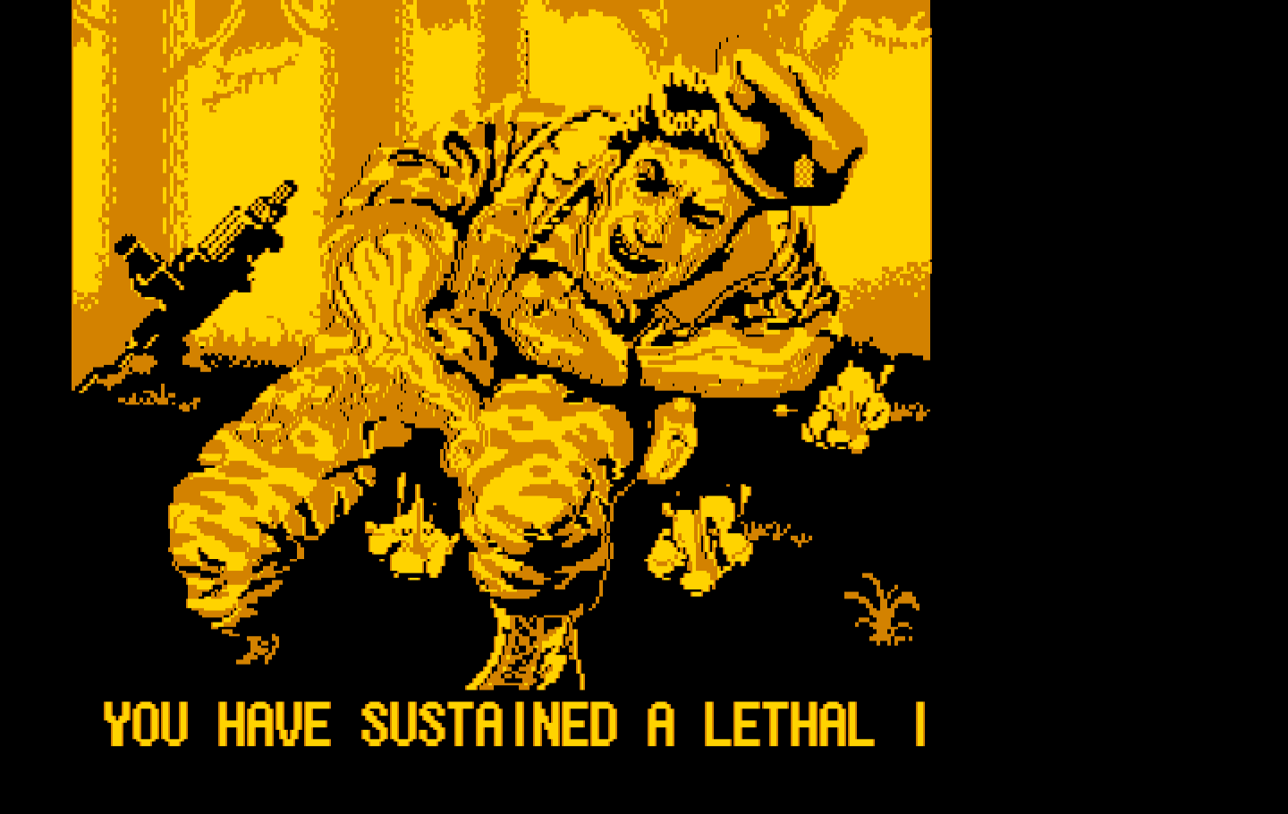 Operation Wolf IBM PC/Compatibles Screenshot: Game over.