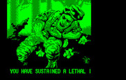 Operation Wolf for IBM PC/Compatibles - Game over.