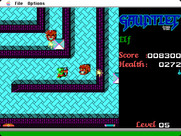 Gauntlet for Macintosh - This level introduces the demons...