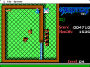 Gauntlet for Macintosh - Start of level 3.
