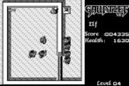 Gauntlet for Macintosh - Start of level 4.
