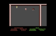 Gauntlet for Commodore 64 - Game start.
