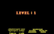Gauntlet for IBM PC/Compatibles - Ready for level one?