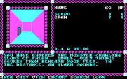 Pool of Radiance for IBM PC/Compatibles - You have entered the dungeon!