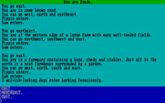 Fellowship of the Ring, The for IBM PC/Compatibles - Some wolvish-looking dogs won't let me proceed...