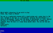 Fellowship of the Ring, The for IBM PC/Compatibles - Game start.