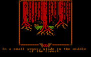 Fellowship of the Ring, The for IBM PC/Compatibles - A small grassy glade.