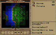 Worlds of Ultima: The Savage Empire for IBM PC/Compatibles - Your visibility is limited at night.