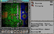 Worlds of Ultima: The Savage Empire for IBM PC/Compatibles - At night your visibility is limited.