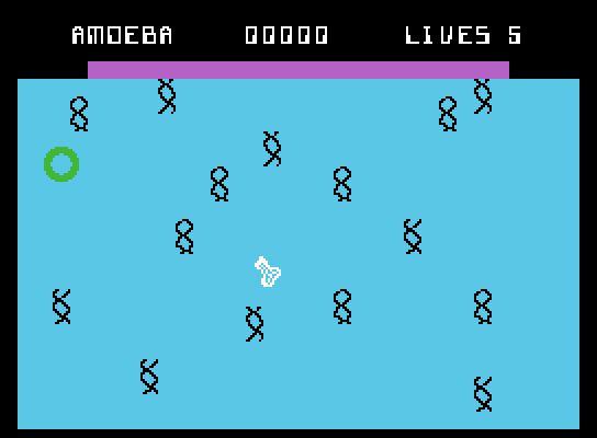 Evolution ColecoVision Screenshot: Game start.