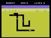 Evolution for ColecoVision - As a rodent, avoid the snakes!