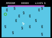 Evolution for ColecoVision - Game start.